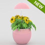 Floreira Hidropnica - J301 Rosa - JardiNice